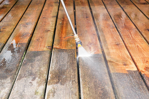 Best Roof Pressure Washing  in Massanetta Springs, VA